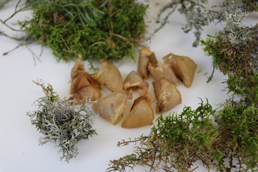 Kuivatatud seasõrg 60g
