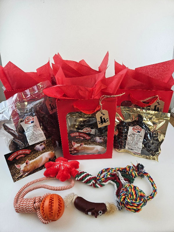 Kingikott koerale ja kassile