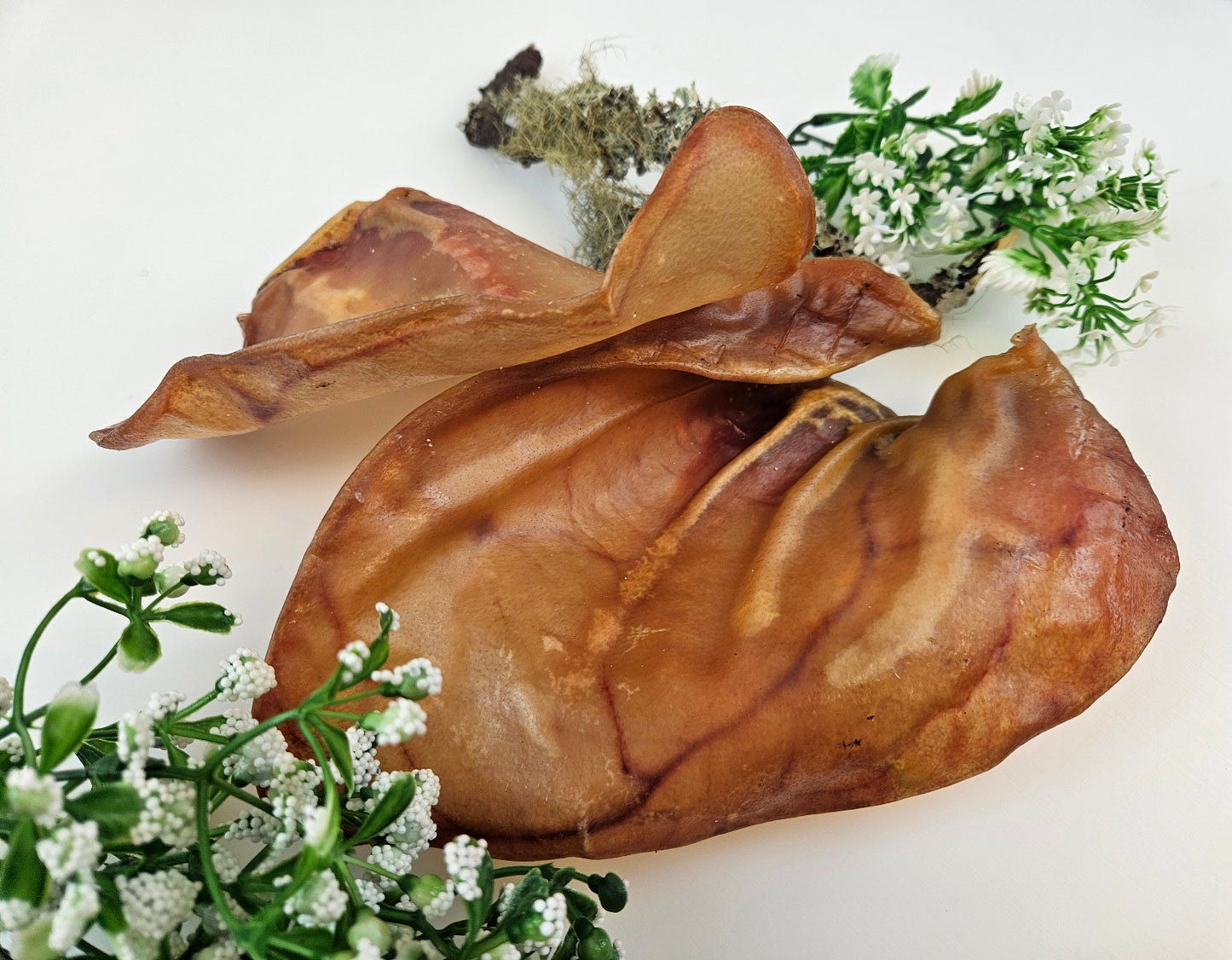 Ухо свиное сушеное 2шт.